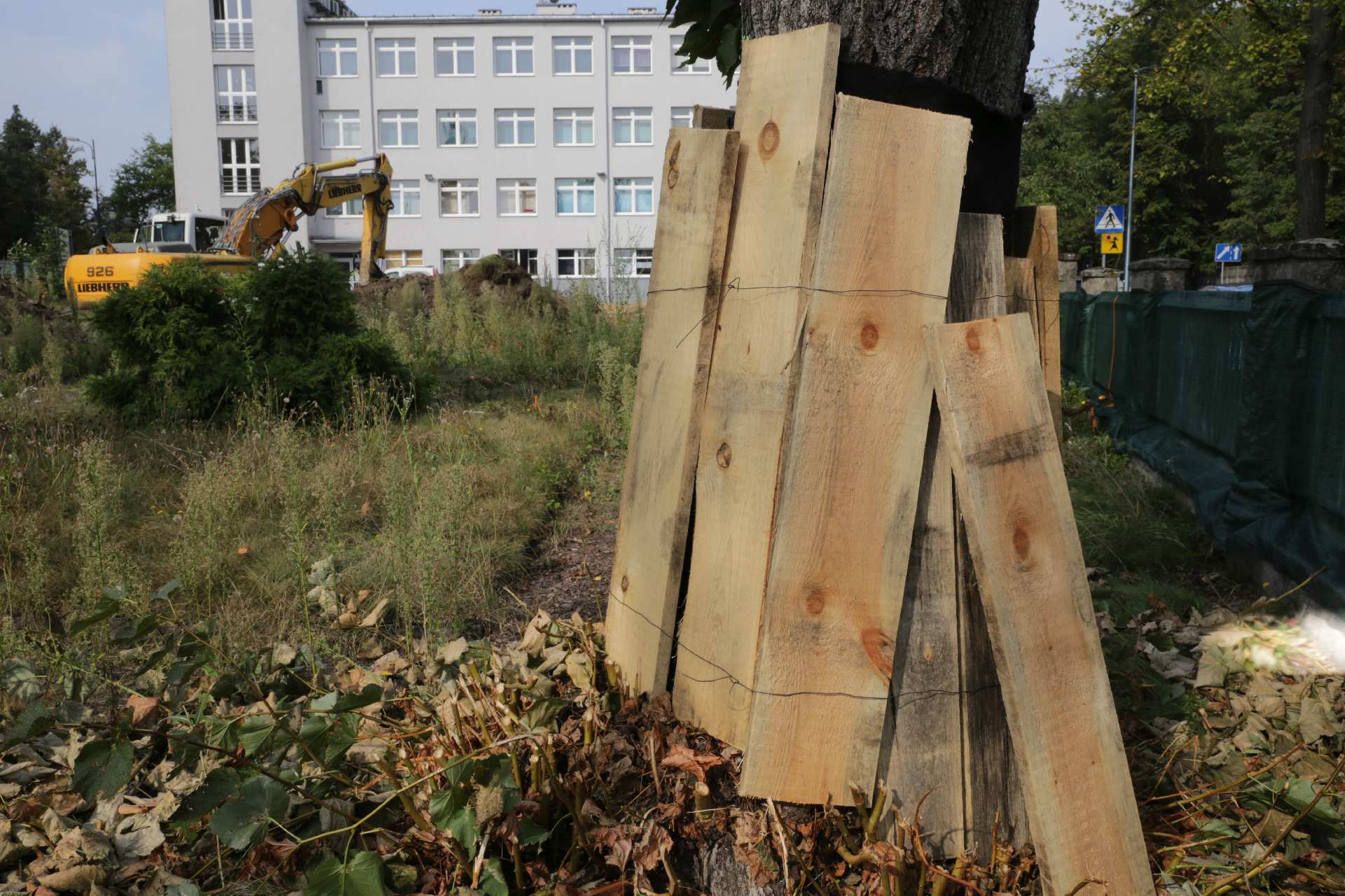 Cieszy fakt, że pnie drzew rosnących na placu budowy zostały odpowiednio zabezpieczone Zdj. Wacław Troszka