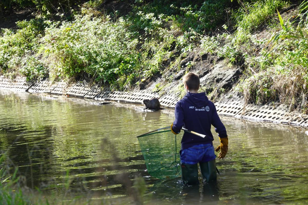 Wolontariusze fundacji Pet Patrol kolejny dzień próbowali odłowić nutrie. Zdj. (D)