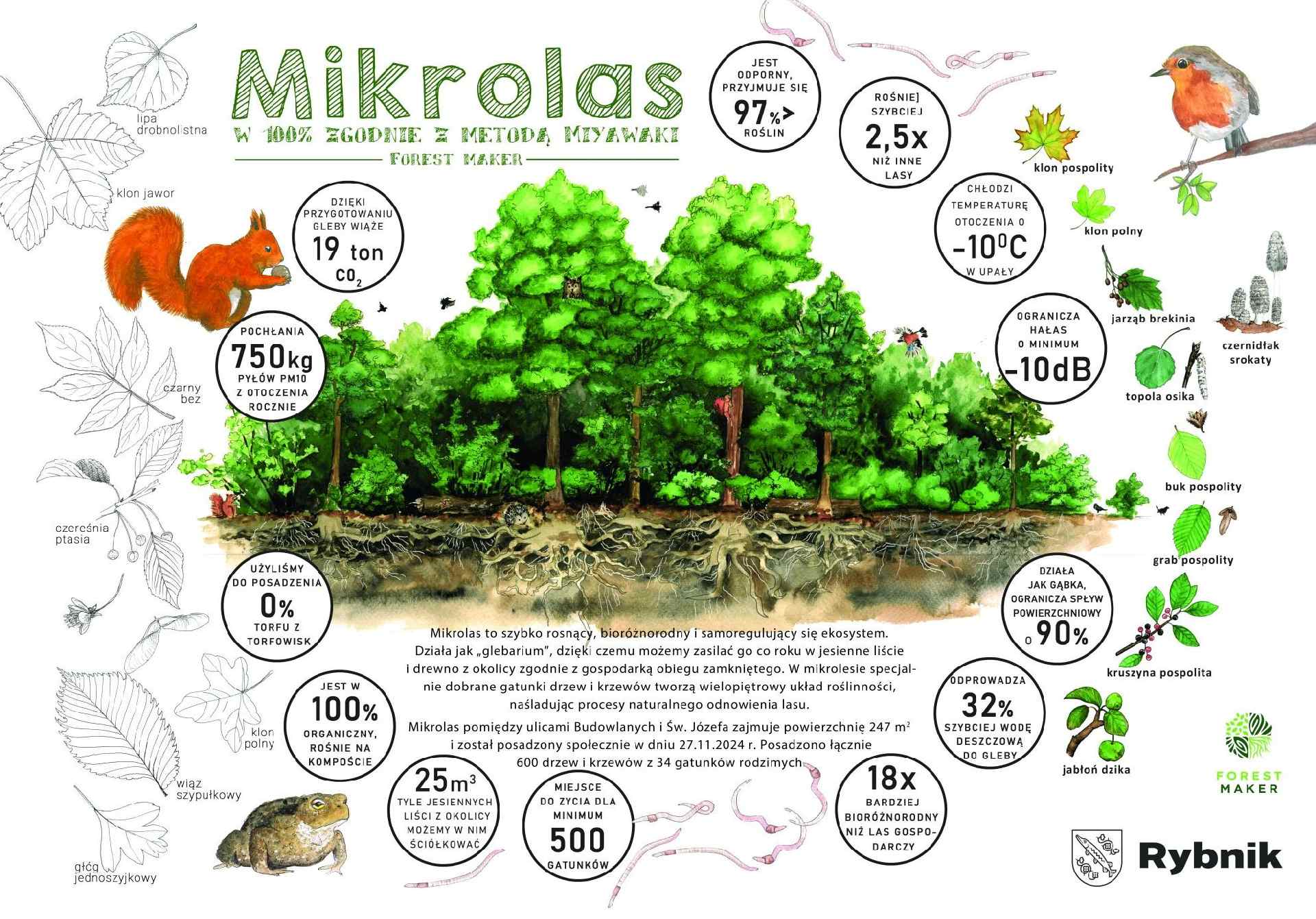 Efekt docelowy dzisiejszej akcji sadzenia lasu przedstawia grafika przygotowana przez Forest Maker Zdj. Wacław Troszka