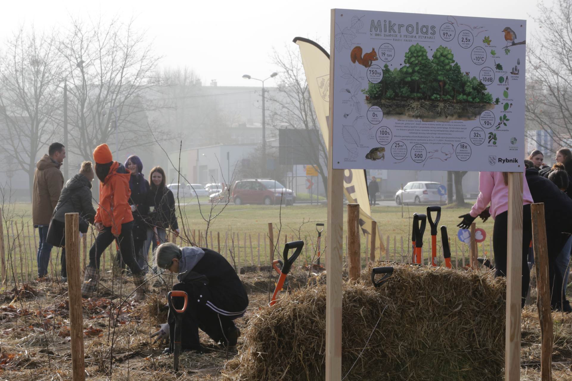 Rybnicki las kieszonkowy zasadzono w dzielnicy Maroko-Nowiny w sąsiedztwie Ekonomika, czyli Zespołu Szkół Ekonomiczno-Usługowych Zdj. Wacław Troszka