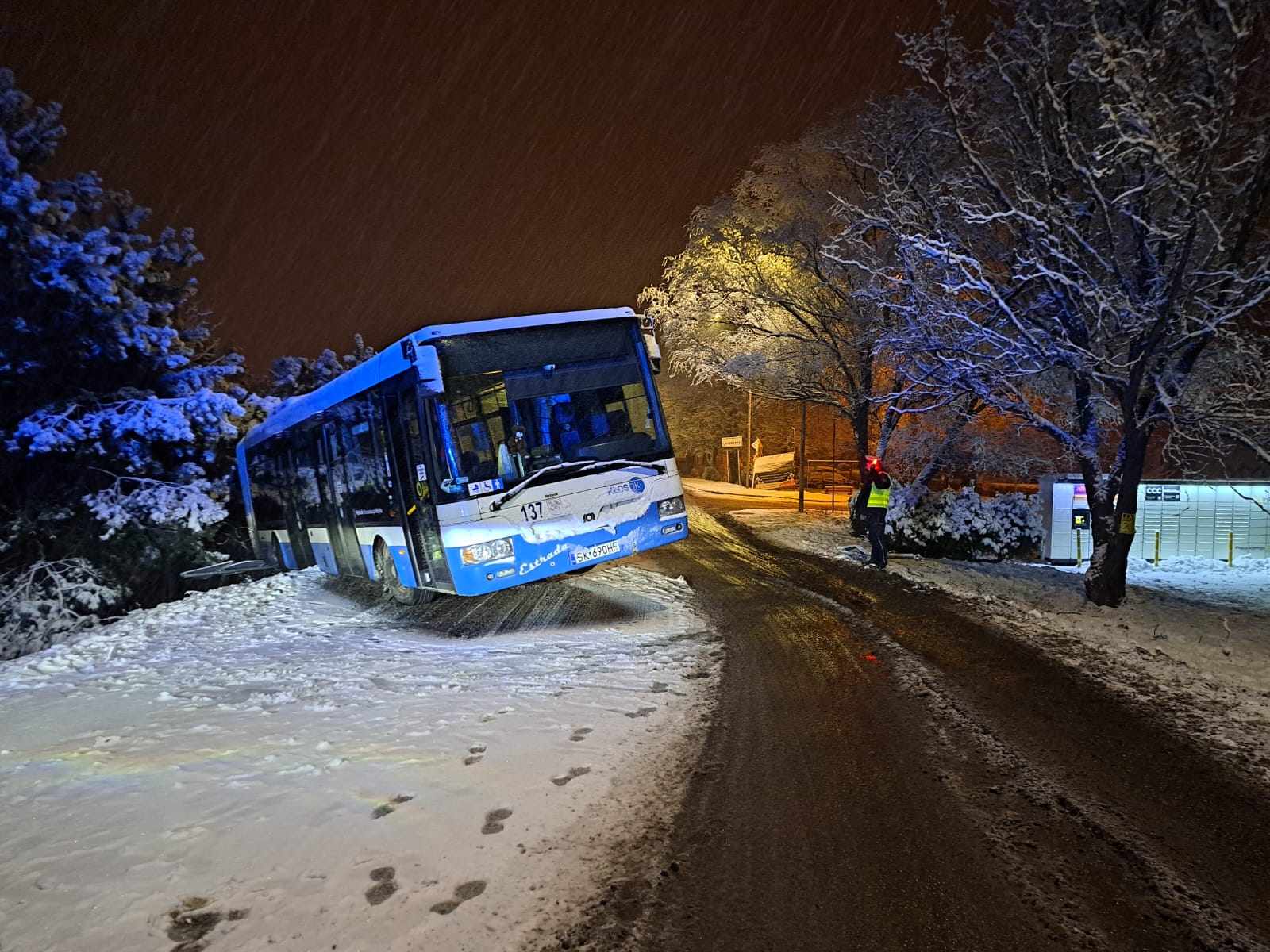 Autobus wypadł z trasy. Zdj. Policja Rybnik