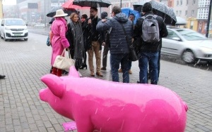 Różowa świnka odsłąnięta (11)