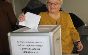 Wybory do Rybnickiej Rady Seniorów (19)