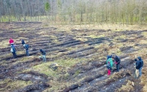Sadzenie drzew w ramach akcji „Lasy Pełne Energii”  (3)
