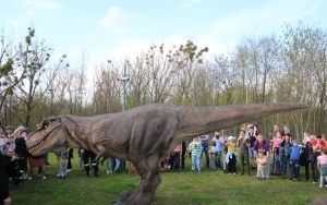 Dinozaur na Ignacym (2)
