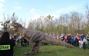 Dinozaur na Ignacym (3)