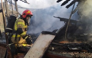 Pożar altany w ogródkach działkowych w Rybniku (3)