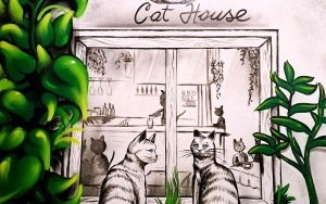 Kocia kawiarnia Cat House w Rybniku (10)