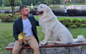 Pan Wojciech i Najpiękniejszy Weteran Wystawy