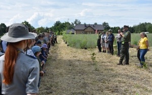 Posadzili w Zamysłowie 100 drzew na 100-lecie Hufca ZHP Ziemi Rybnickiej (9)