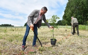 Posadzili w Zamysłowie 100 drzew na 100-lecie Hufca ZHP Ziemi Rybnickiej (8)