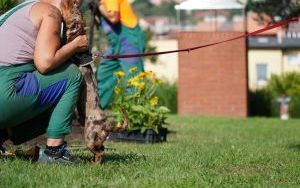 Placyk Książki, czyli rybnicka czytelnia pod chmurką (5)