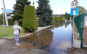 Ruda zalała domy przy ulicy Partyzantów w Rybniku (3)