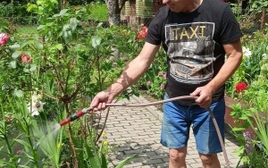 Lato w ogródkach działkowych w Rybniku (13)