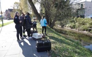  Pet Patrol kontynuuje odławianie zwierząt do azylu (2)