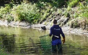  Pet Patrol kontynuuje odławianie zwierząt do azylu (8)