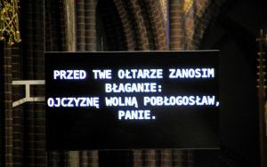 Święto 11 listopada w Rybniku (11)