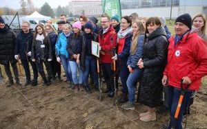 Sadzenie rybnickiego lasu kieszonkowego (20)