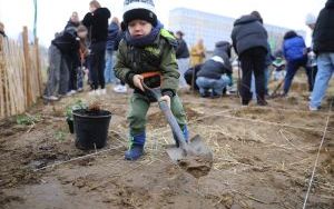 Sadzenie rybnickiego lasu kieszonkowego (7)