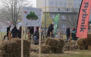 Sadzenie rybnickiego lasu kieszonkowego (9)