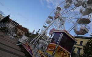 Zieleń Miejska wystroi rybnicki rynek na święta Bożego Narodzenia (12)