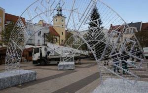 Zieleń Miejska wystroi rybnicki rynek na święta Bożego Narodzenia (13)