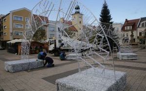 Zieleń Miejska wystroi rybnicki rynek na święta Bożego Narodzenia (10)